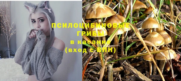 дурь Армянск