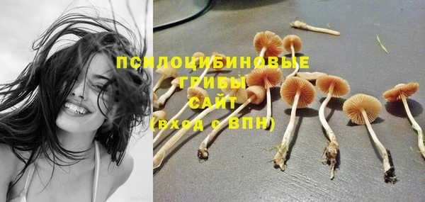 дурь Армянск