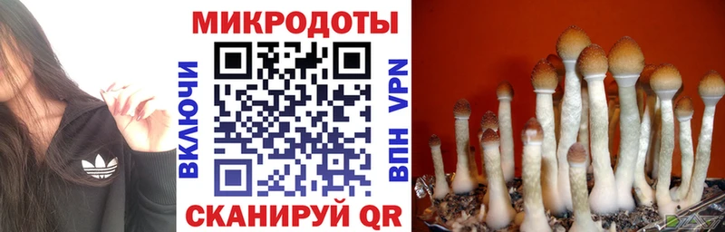 Галлюциногенные грибы мицелий  Обоянь 